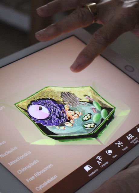 Dostosowane do różnych stylów uczenia się