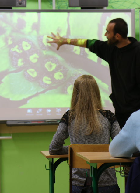 Zgodność z podstawą programową