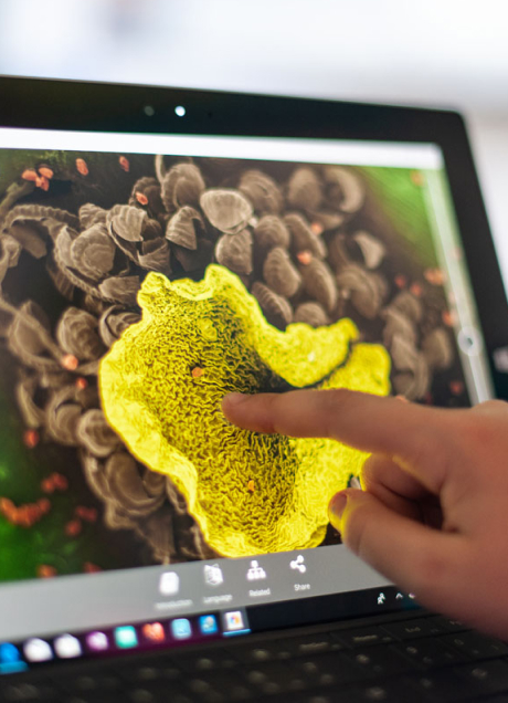 Zrozumienie przez obraz