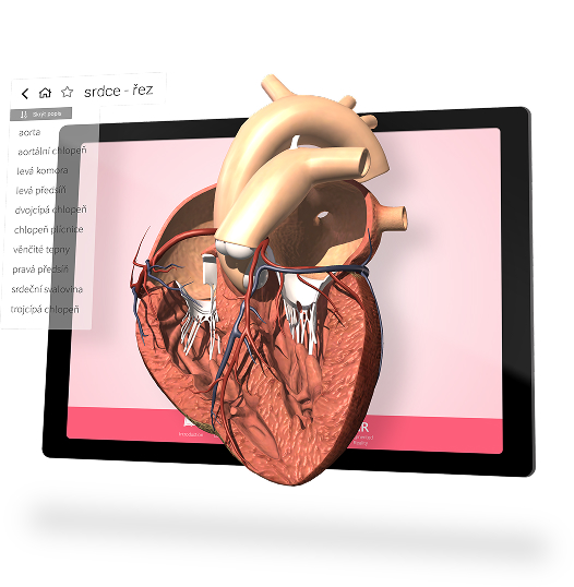 Przykładowy screen VR Expert