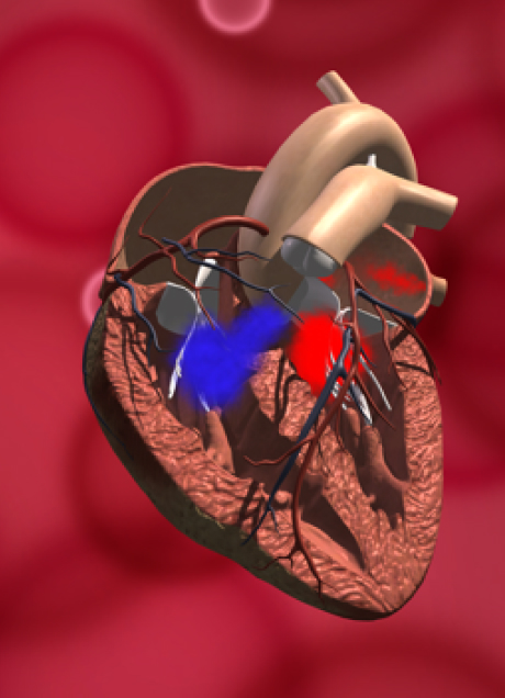 Możliwość bezpiecznych eksperymentów