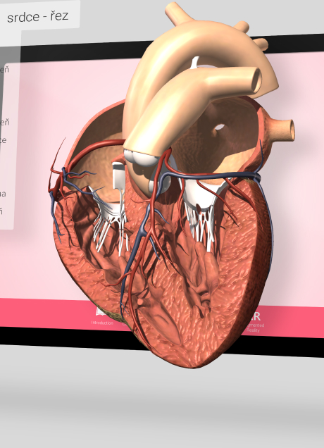 Zestaw typu plug & play