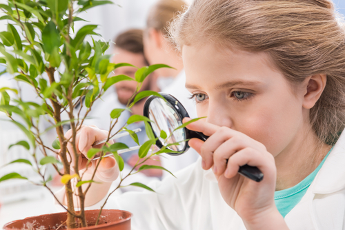 Szkolenie „Uczeń badaczem a&nbsp;technologie cyfrowe – rozwijanie kompetencji badawczych uczniów z&nbsp;wykorzystaniem technologii cyfrowych”