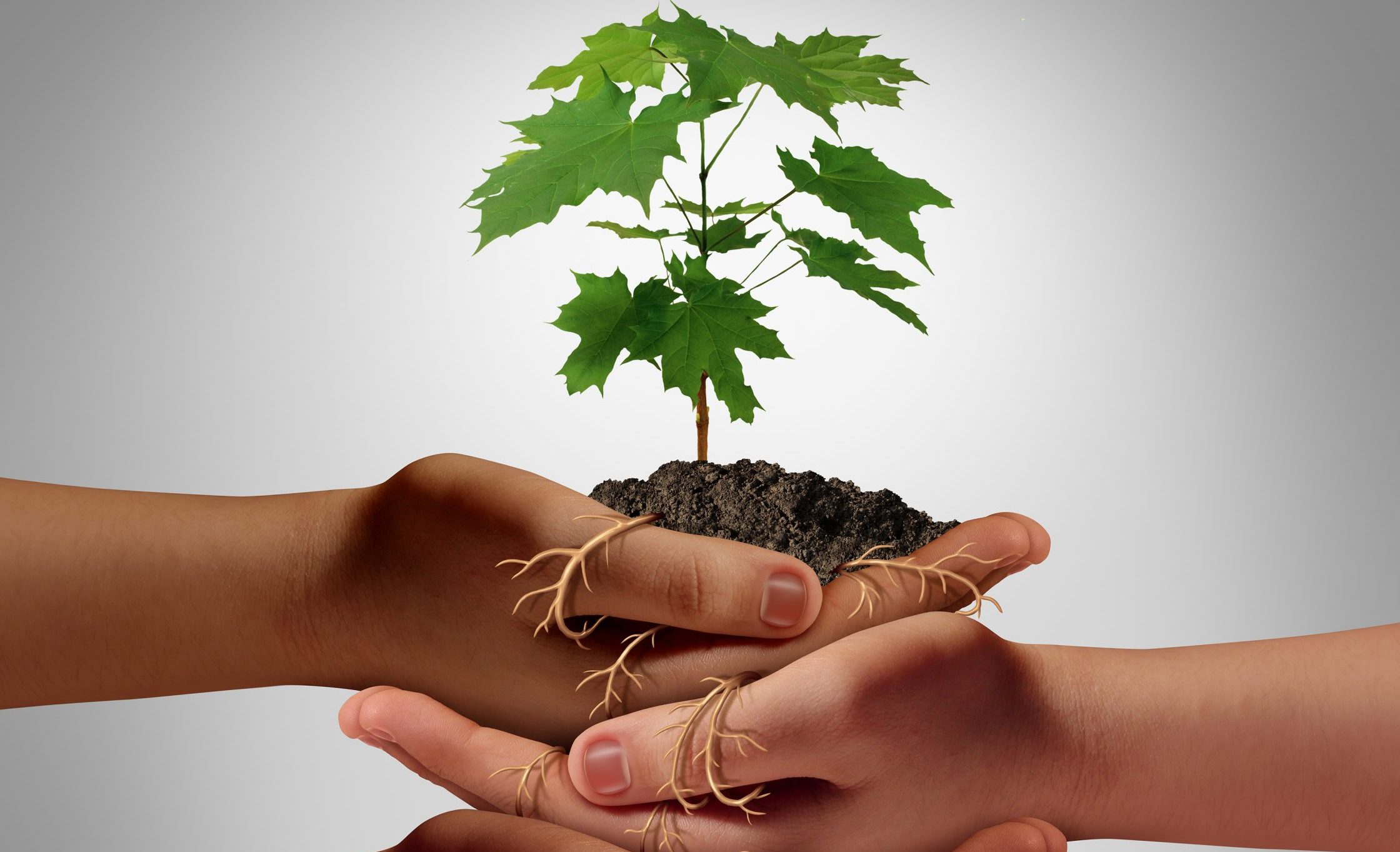 Wyzwania i trudności dyrektora MOW/MOS: Sytuacja nieletnich matek oraz współpraca z rodziną wychowanków i wychowanek przebywających w MOW/MOS