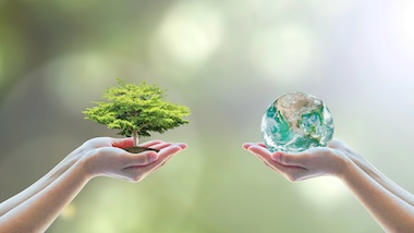 Szkolenie Edukacja Klimatyczna dla uczniów klas I-III  szkół podstawowych