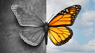 Dobrostan psychiczny doradcy zawodowego ̶ rekrutacja na bezpłatne webinarium Wydziału Doradztwa Zawodowego