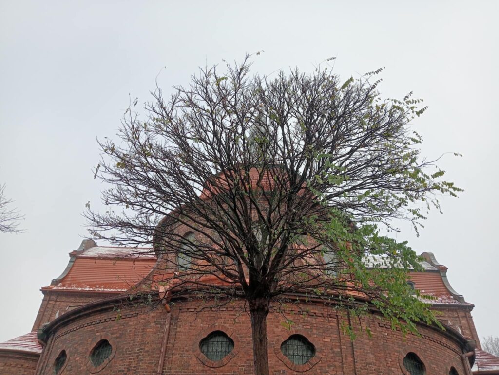 Dzielnica Nikiszowiec zachwyca surowym pięknem i autentycznością.