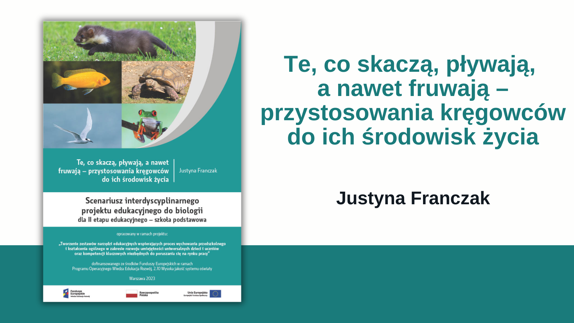 Światowy Dzień Wiedzy o&nbsp;Pingwinach (Metodyczne inspiracje z&nbsp;wykorzystaniem zestawów narzędzi edukacyjnych)