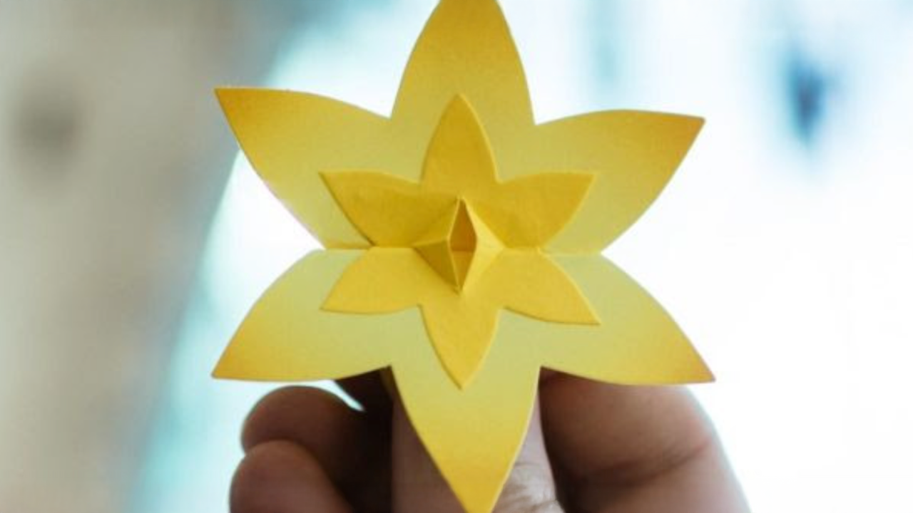 Zgłoszenia szkół i bibliotek do udziału w akcji Żonkile