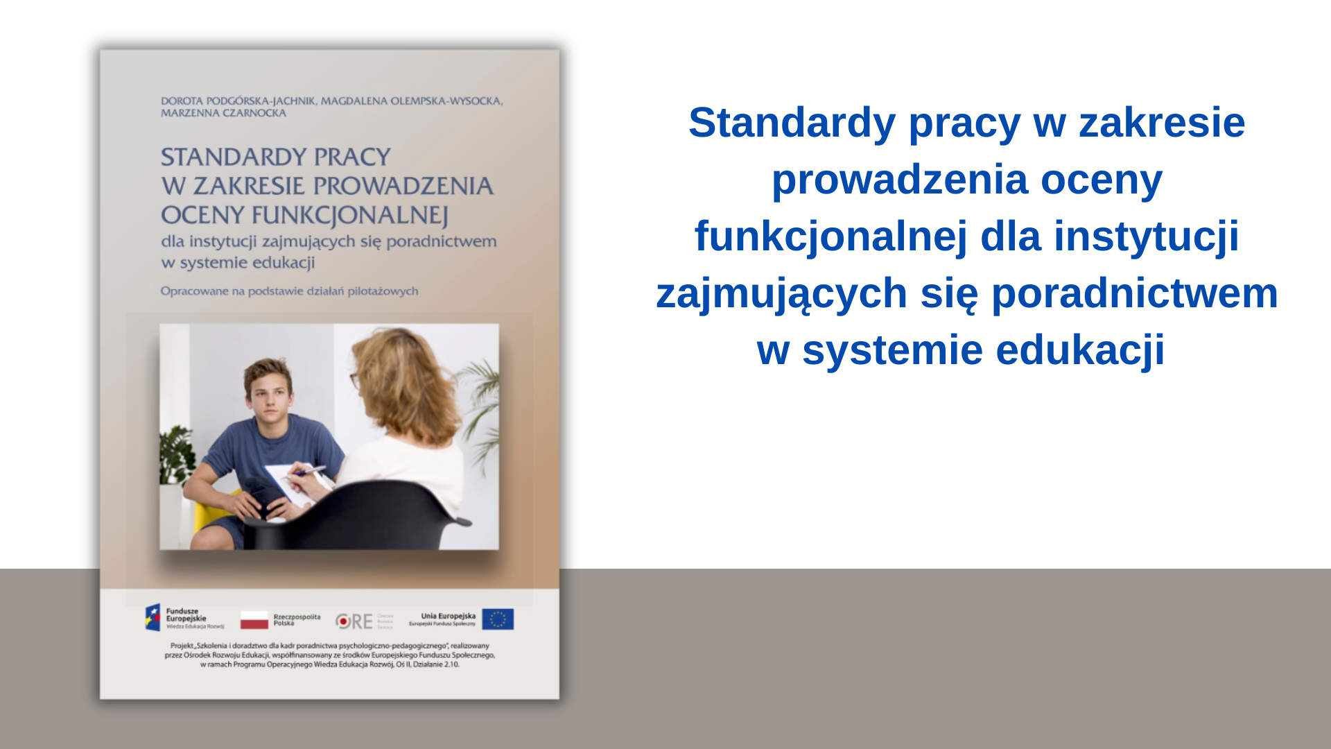 Standardy pracy w zakresie prowadzenia oceny funkcjonalnej dla instytucji zajmujących się poradnictwem w systemie edukacji
