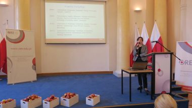 wystąpienie Krajowego Koordynatora Programu PPZ i SzPZ Valentiny Todorovskiej - Sokołowskiej