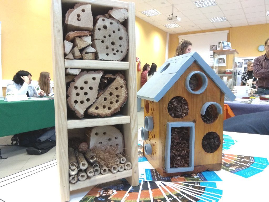 karmnik na owady zbudowany przez uczniów technikum budowlanego