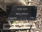 Drzewo Ireny Sendlerowej w Ogrodzie Sprawiedliwych na terenie Instytutu Yad Vashem w Jerozolimie