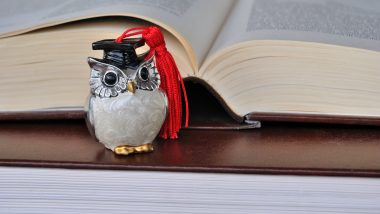 na obrazku widać dwie książki. Jedna na drugiej leży. Książka pod spodem jest zamknięta. Książka na wierzchu jest otwarta, a obok niej stoi figurka sowy