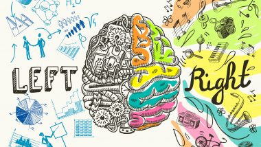 ©-macrovector/Photogenica