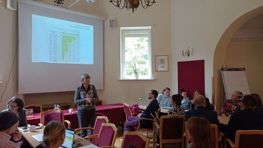 na zdjęciu sala konferencyjna, Anna Pregler ekspert merytoryczny projektu mówi do zebranych gości