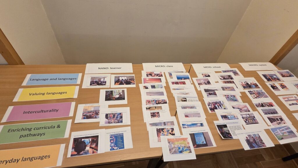 Materiały szkoleniowe