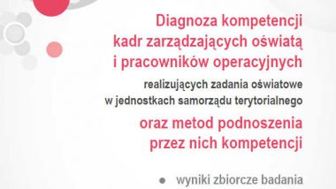 diagnoza kompetencji raport
